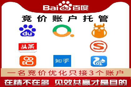 案例解读：网络推广与竞价策略